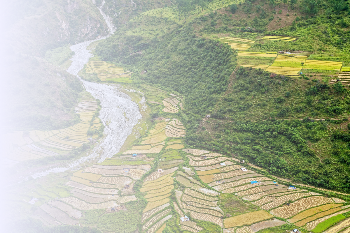 Aerial image of fields surrounding a river in Bhutan