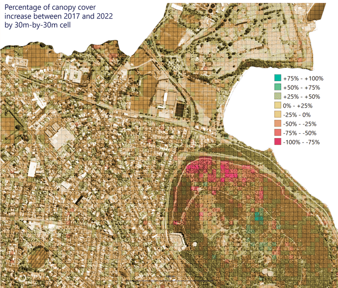 Map showing percentage change in canopy cover between 2017 and 2022 in 30 metre cells