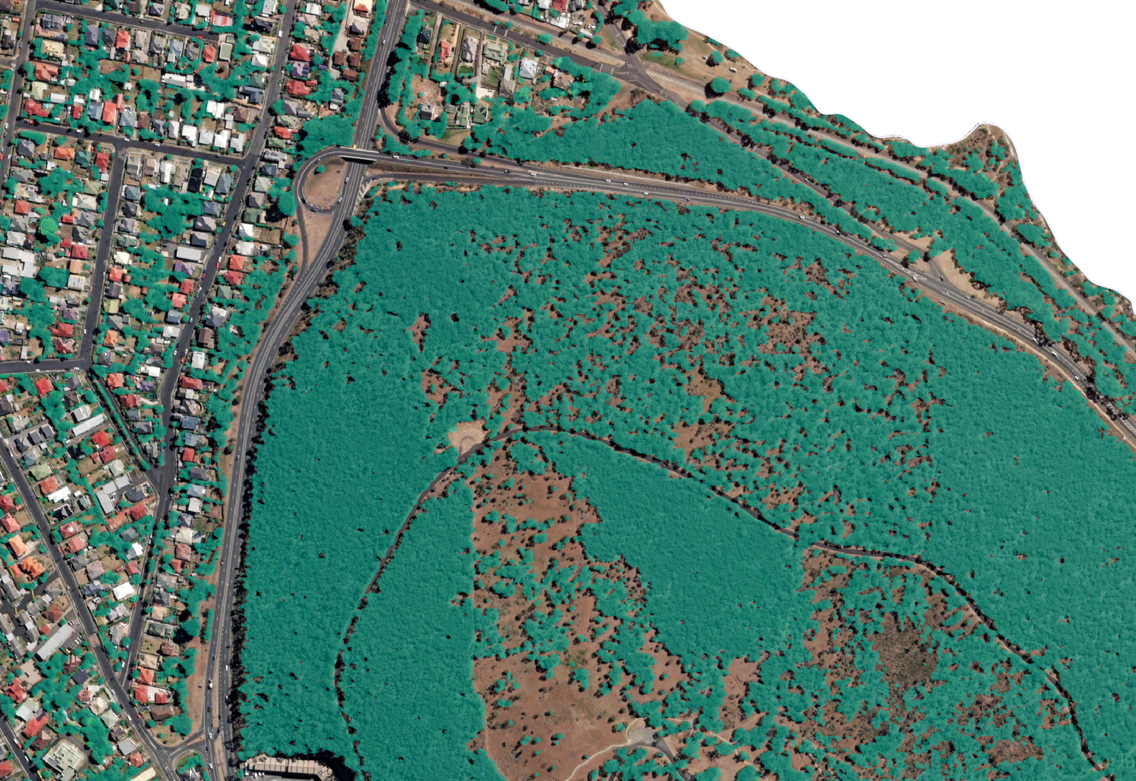 Satellite imagery of Hobart with mapped tree canopy highlighted in teal