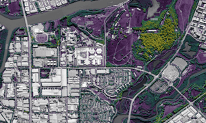 Geoneon® Vegetation