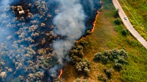 Case Studies - Wildfire Road
