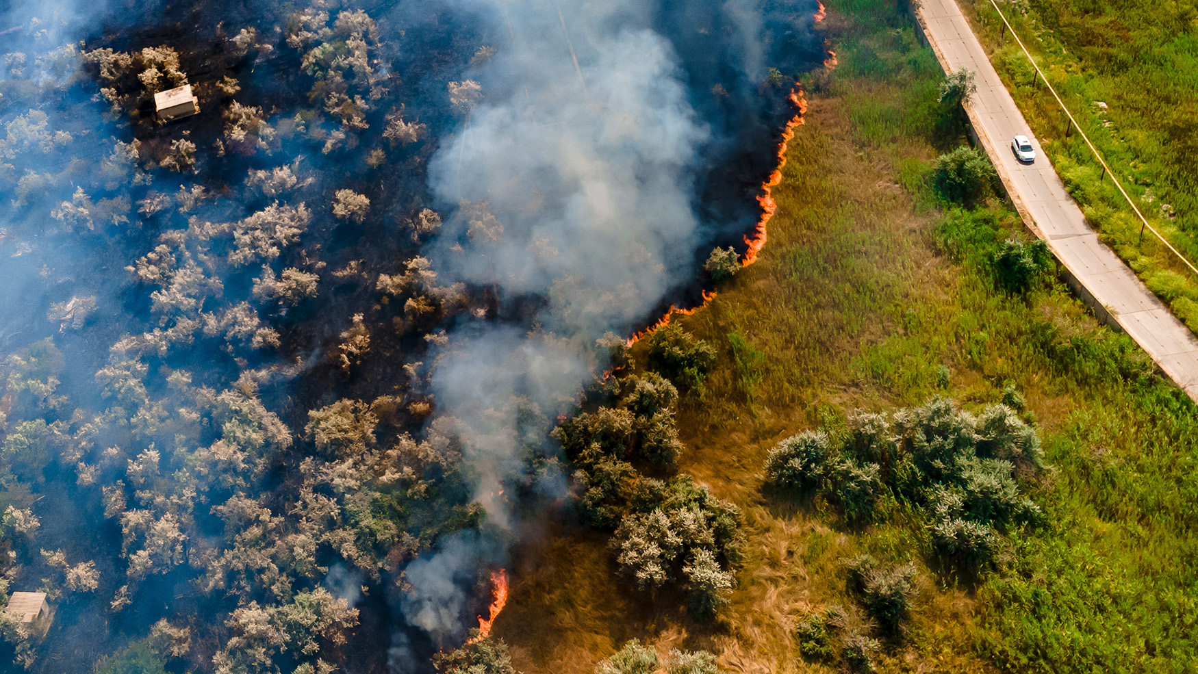 Case Studies - Wildfire Road