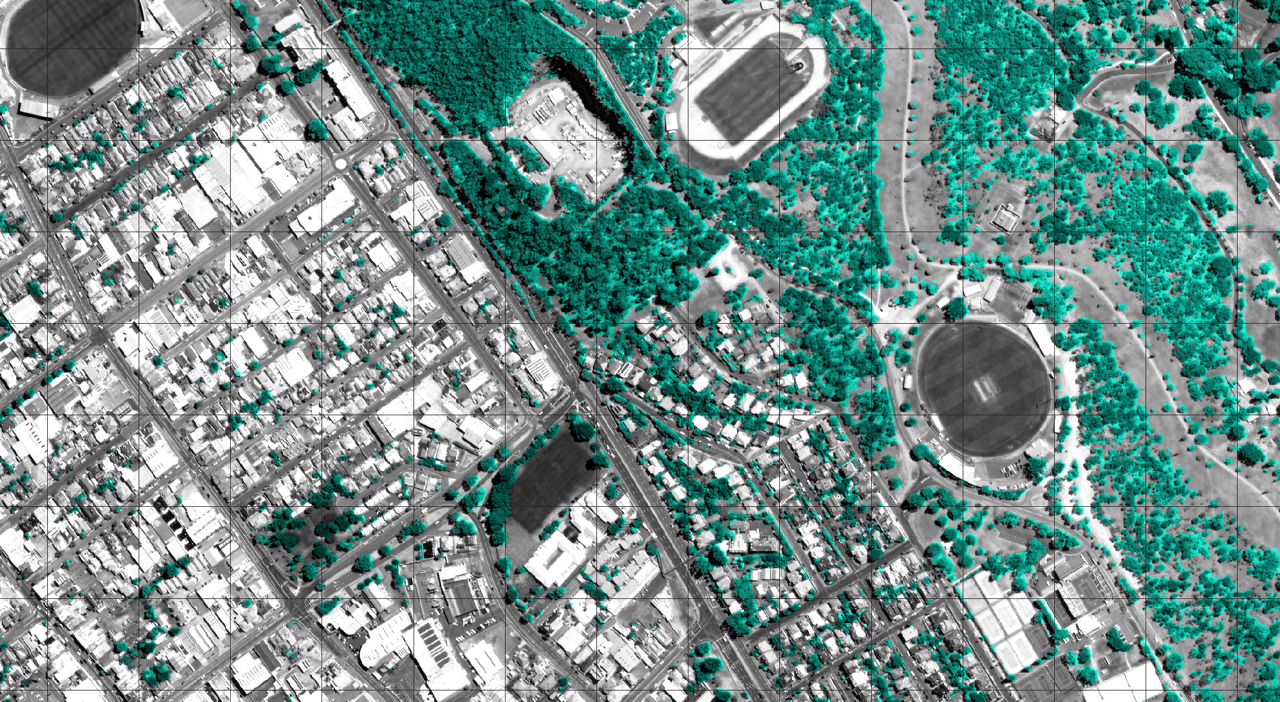 Aerial imagery of Hobart showing tree canopy cover overlay in green
