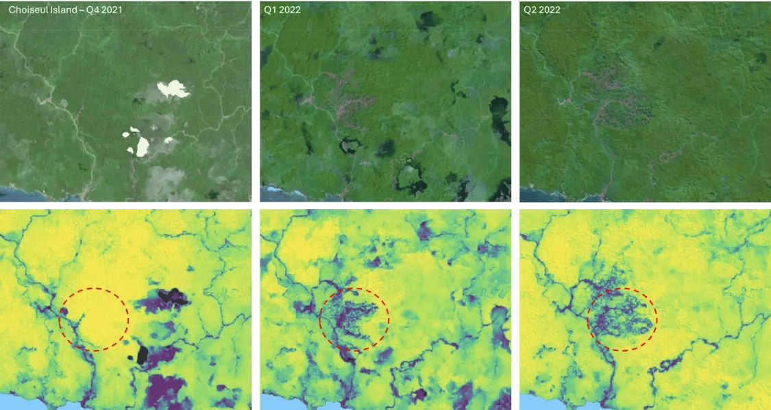 Quarterly vegetation-height mapping of Choiseul Island, Solomon Islands