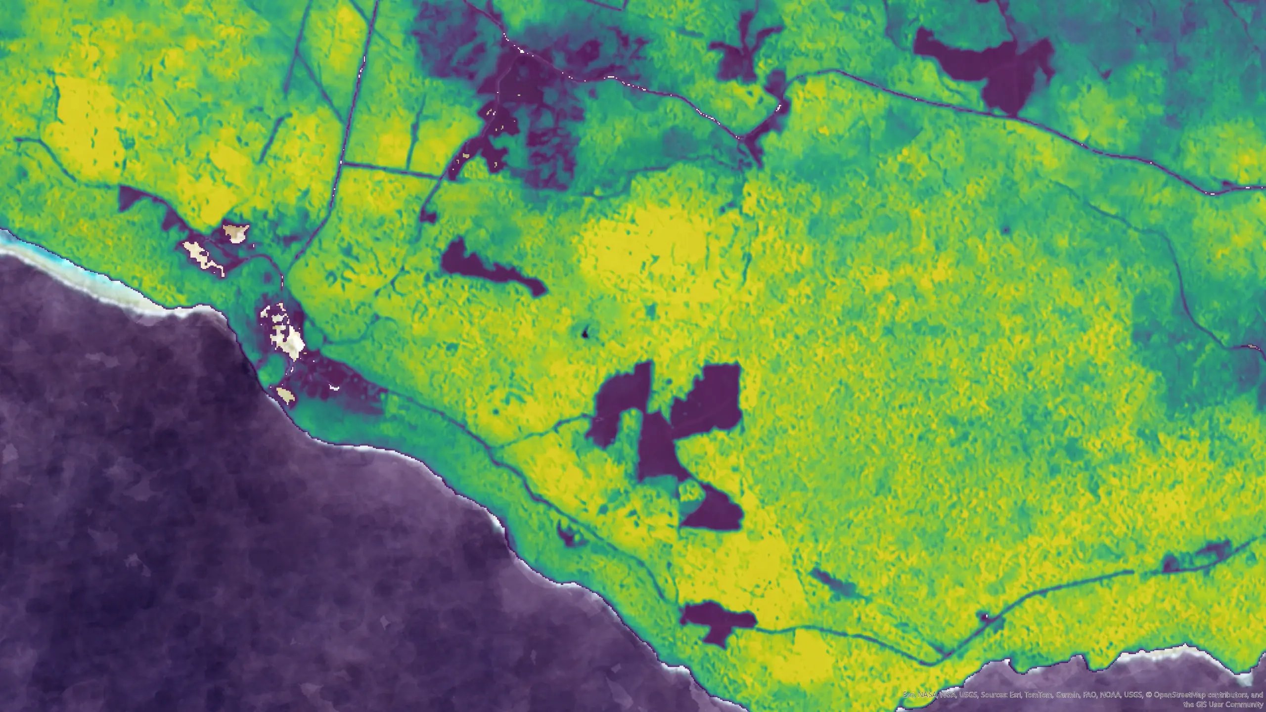Vegetation-height map of Choiseul Island, Solomon Islands
