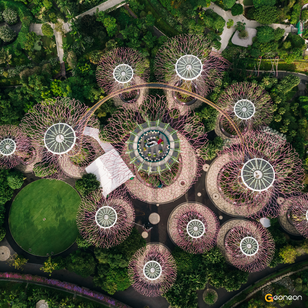 Urban-Forest-Singapore-1
