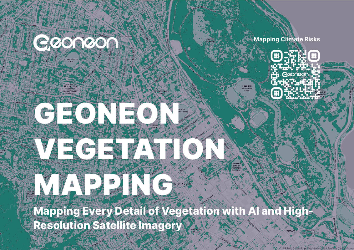 Vegetation Mapping Image