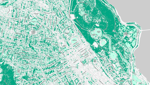 Vegetation-Sample